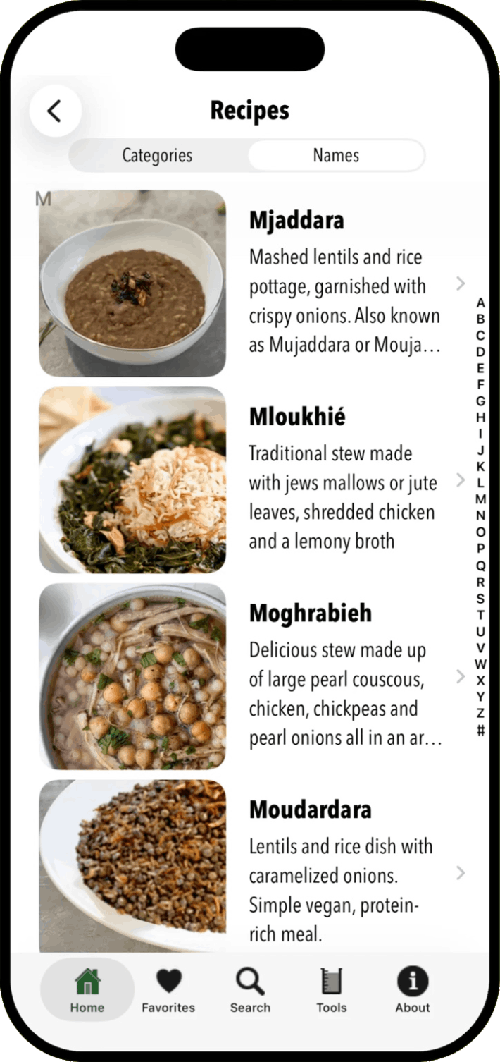 100 Lebanese Recipes iOS App
